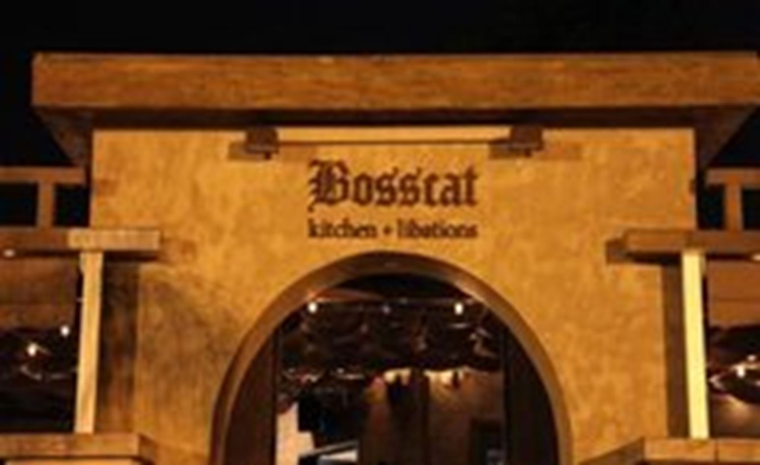 Rsz _bosscat -kitchen -libations