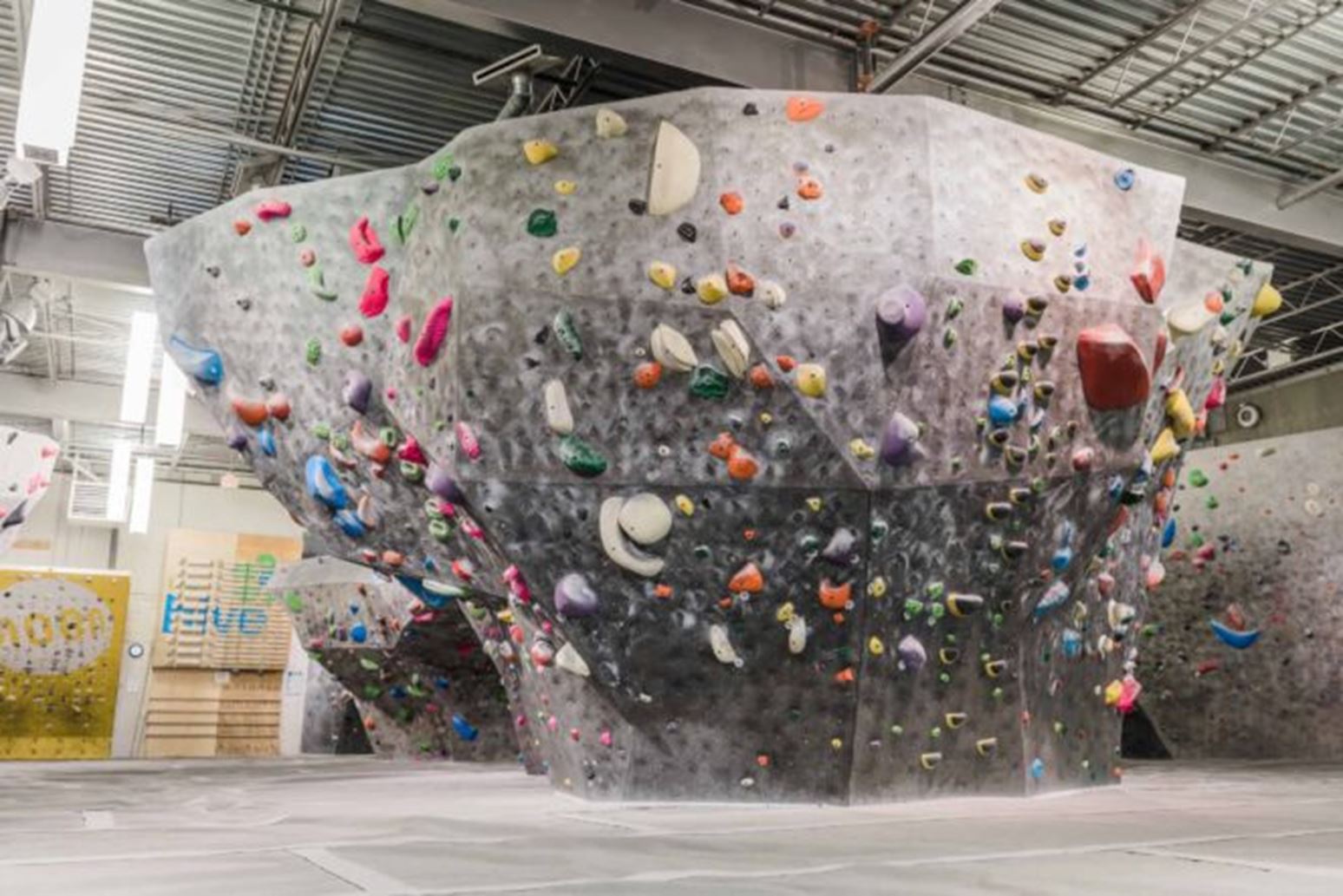 The Hive North Shore Climbing & Fitness